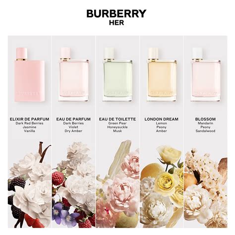 burberry her smells like|burberry her elixir noted.